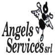 Logo di ANGELS SERVICES SCARL