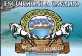 Logo di MANEGGIO BARATZ ASD