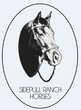 Logo di A.S.D. SIDEPULL RANCH HORSES
