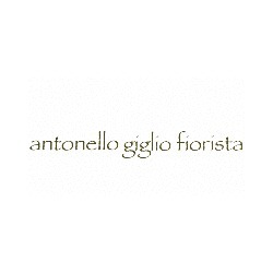 Logo di FIORISTA ANTONELLO GIGLIO