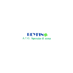Logo di AGENZIA BEYFIN