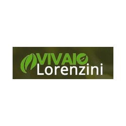 Logo di VIVAIO LORENZINI