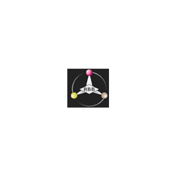 Logo di ERRE BI.BI
