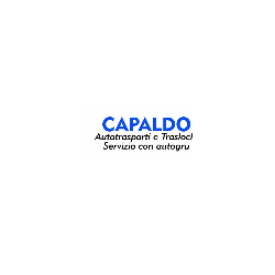 Logo di CAPALDO TRASLOCHI E TRASPORTI
