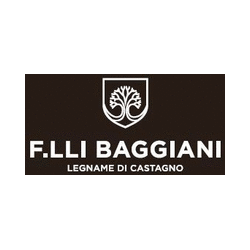Logo di BAGGIANI F.LLI