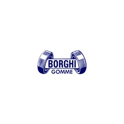 Logo di BORGHI GOMME