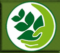 Logo di VIVAI ZICHITTELLA