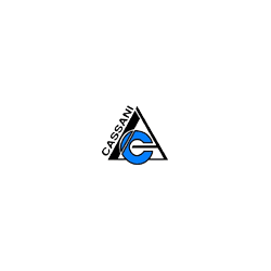 Logo di CASSANI ASCENSORI