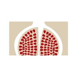 Logo di COFOOD
