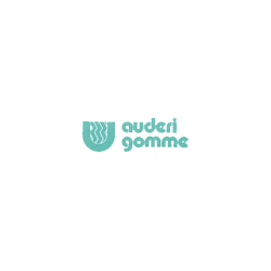Logo di AUDERI GOMME