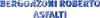 Logo di BERGONZONI ROBERTO ASFALTI