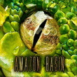 Logo di AMAZON BASIN