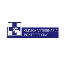 Logo di CLINICA VETERINARIA PONTE FELCINO