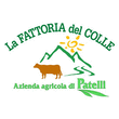 Logo di FATTORIA DEL COLLE