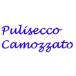 Logo di PULISECCO CAMOZZATO