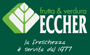 Logo di ECCHER GIULIANO