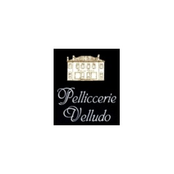 Logo di VELLUDO PELLICCERIA PELLICCERIA, CUSTODIA, RIMESSA A MODELLO