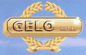 Logo di CALZATURE GELO