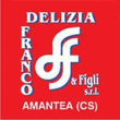 Logo di DELIZIA FRANCO E FIGLI TERMOIDRAULICA - VERNICI