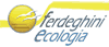 Logo di FERDEGHINI AGOSTINO