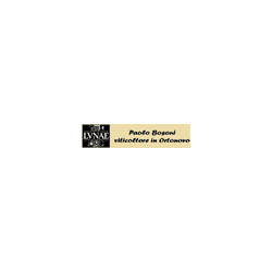 Logo di CANTINE LUNAE BOSONI