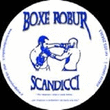 Logo di BOXE ROBUR SCANDICCI