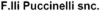 Logo di PUCCINELLI SCAVI