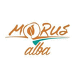 Logo di MORUS ALBA WINE BAR