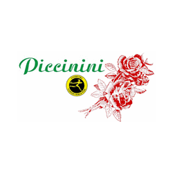 Logo di FIORISTA PICCININI
