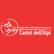 Logo di COOPERATIVA DI PRODUZIONE E LAVORO DI CASTEL DELL'ALPI