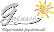 Logo di GALASSI NOLO