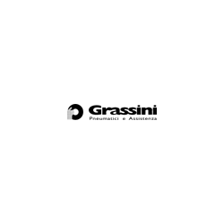 Logo di GRASSINI PNEUMATICI