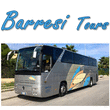 Logo di BARRESI TOURS