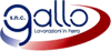 Logo di GALLO DI GALLO RODOLFO & STEFANO