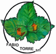 Logo di FABIO TORRE