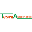 Logo di AUTOSPURGHI TESINI LUIGI E C.