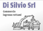 Logo di DI SILVIO