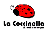 Logo di LA COCCINELLA