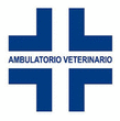 Logo di MASOTTI DOTT. ANGELO