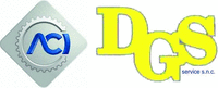 Logo di D.G.S. SERVICE
