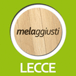 Logo di MELAGGIUSTI STORE LECCE