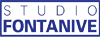 Logo di STUDIO FONTANIVE