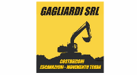 Logo di GAGLIARDI