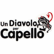 Logo di PARRUCCHIERA BORMOLINI MONICA UN DIAVOLO PER CAPELLO