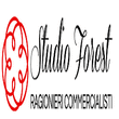 Logo di FOREST, FOREST E FOREST ADVISORS