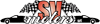 Logo di SV MOTORS