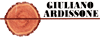 Logo di ARDISSONE PARQUET