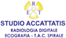 Logo di ACCATTATIS SAS
