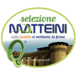 Logo di MATTEINI