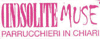 Logo di (IN)SOLITE MUSE